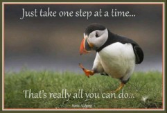 one step penguin